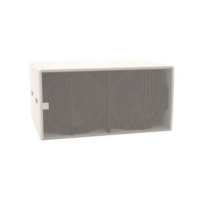 MARTIN AUDIO CSX218W